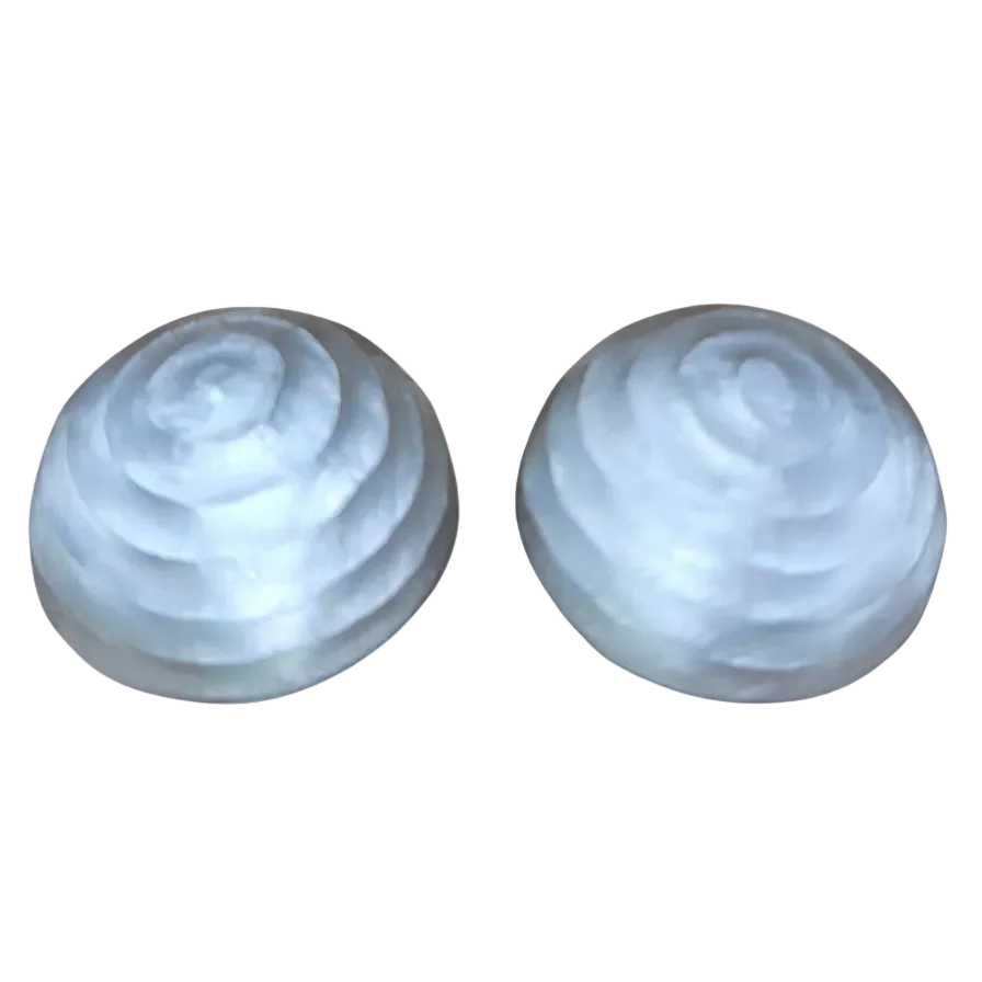 Vintage Lucite Alexis Bittar Earrings